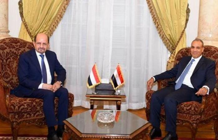 وزير الخارجية يؤكد لنظيره اليمني دعم مصر الراسخ لوحدة الدولة اليمنية واستقرارها