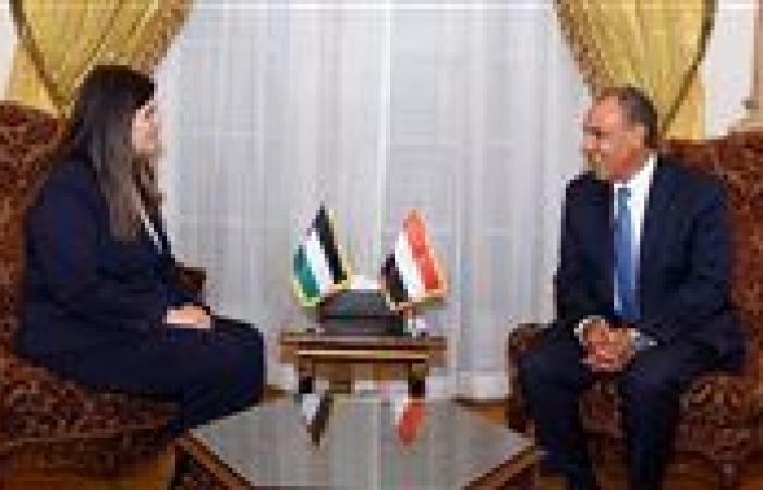 وزير الخارجية: نرفض توسيع العمليات العسكرية الإسرائيلية في غزة والاستمرار في جرائم الإبادة والتجويع