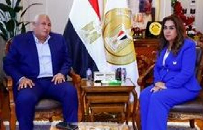 وزيرة التنمية المحلية تبحث مع محافظ الوادي الجديد الموقف التنفيذي للمشروعات التنموية والخدمية