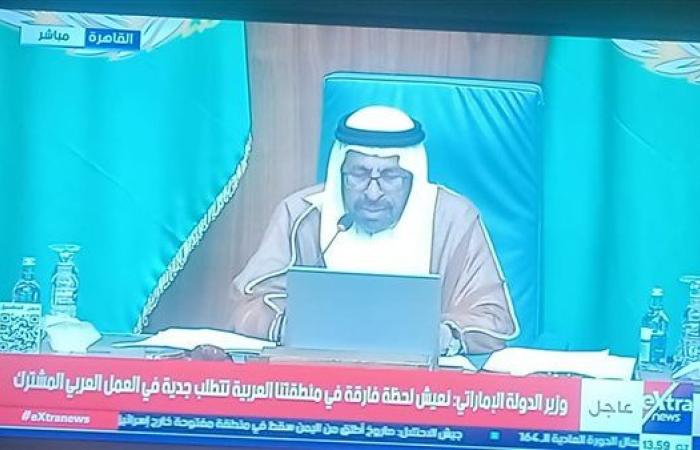 وزير الدولة الإماراتي: نعيش لحظة فارقة في منطقتنا العربية