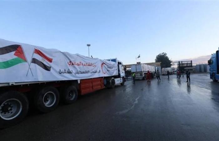 مصر تواصل جهودها الإنسانية: دفعة جديدة من المساعدات في طريقها إلى غزة