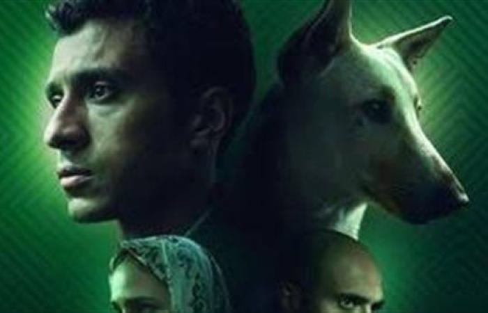 فيلم “رامبو” يتصدر سباق الأفلام المصرية نحو الأوسكار واللجنة تحسم الاختيار