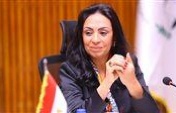وزارة التضامن تقر قيد 4 جمعيات في محافظتى القاهرة والدقهلية