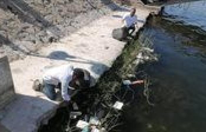 حملة لتنظيف شاطئ نهر النيل بمدينة الأقصر احتفالا باليوم العالمي الدولي لنقاوة الهواء من أجل سماء زرقاء