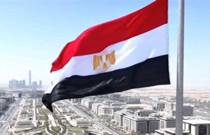 الهيئة الدولية لدعم فلسطين: مصر حائط صد ضد مخططات الاحتلال للتهجير
