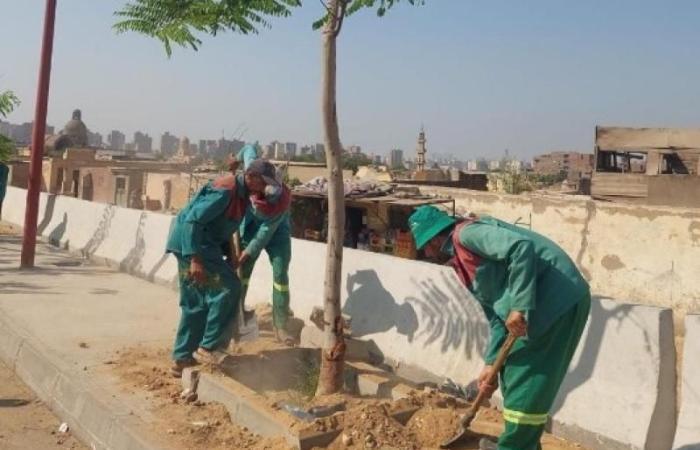 وزيرة التنمية المحلية  تابع الموقف التنفيذي للمرحلة الرابعة من المبادرة الرئاسية ” 100 مليون شجرة ”