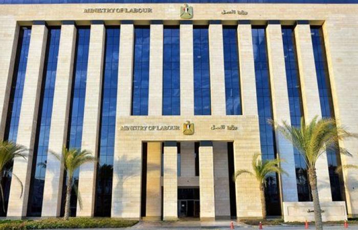 وظائف خالية اليوم برواتب تصل لـ12 ألف جنيه.. اعرف التخصصات المطلوبة