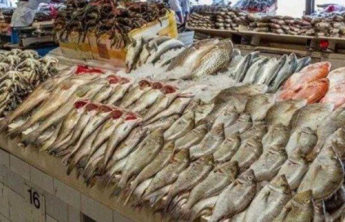 أسعار السمك للمستهلك اليوم السبت 6 سبتمبر 2025