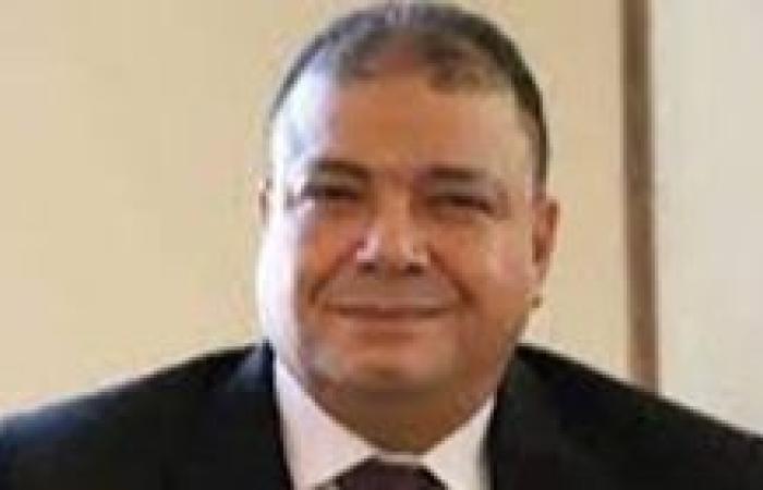 المهندس البديوي السيد: وحدة الصف الوطني خط الدفاع الأول لمصر