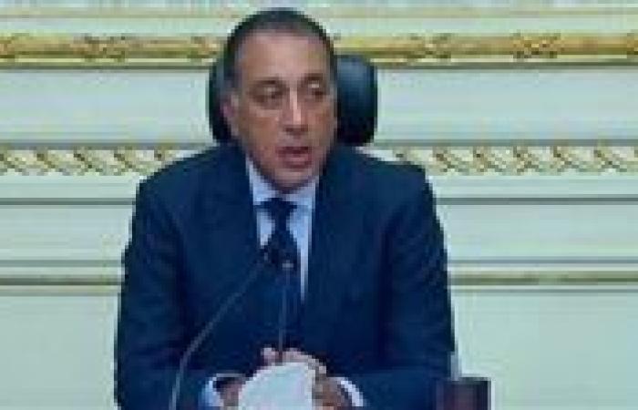 الوزراء: مصر لم تكن قادرة على جذب أي استثمارات دون توفير بنية أساسية قوية