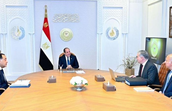 الرئيس السيسي يوجه بمواصلة تطوير الآبار الجديدة المكتشفة وإدراجها ضمن خريطة الإنتاج