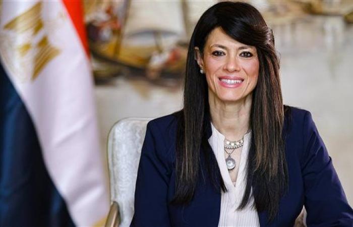 وزيرة التخطيط: البرلمان وافق على زيادة مخصصات قطاع الصحة بنسبة 66%