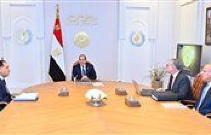 السيسي يؤكد أهمية توفير المزيد من الحوافز للمستثمرين لتعزيز الاستثمارات في قطاع البترول