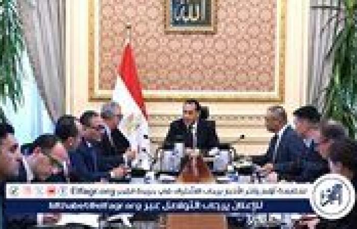 مدبولي يبحث مع شركة "صن ريف سولار" الصينية إنشاء مصنع لإنتاج مكونات الطاقة المتجددة بالعين السخنة