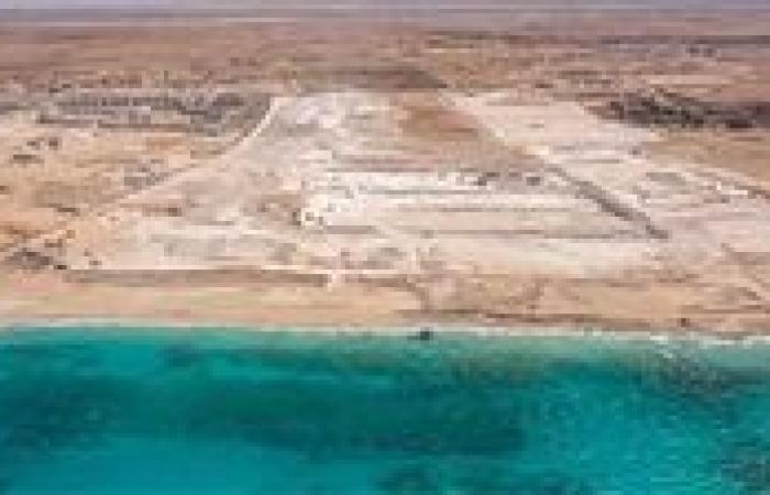 عاجل| بعد صفقة العبار.. الحكومة تستهدف جذب استثمارات أجنبية جديدة بـ 55 مليار دولار