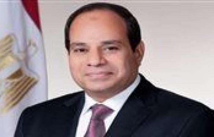 السيسي: مناورات "النجم الساطع 2025" امتداد للتعاون الأمني والدفاعي بين مصر وأمريكا