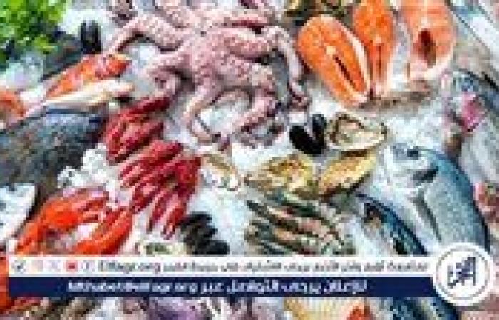 أسعار المأكولات البحرية والجمبري اليوم الاثنين 8-9-2025 في محافظة قنا