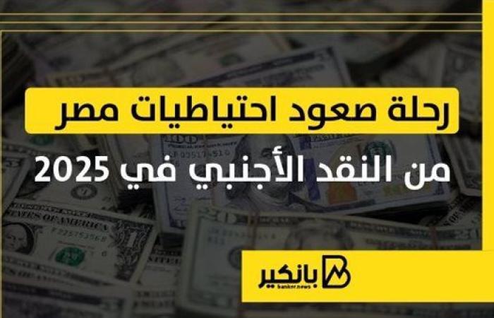 رحلة صعود احتياطيات مصر من النقد الأجنبي في 2025 | إنفوجراف