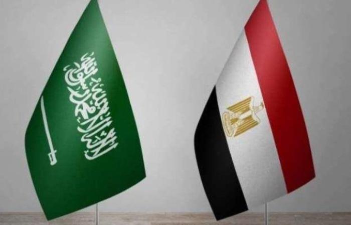 وزيرا خارجية مصر والسعودية يبحثان التصعيد الاسرائيلي في الضفة الغربية