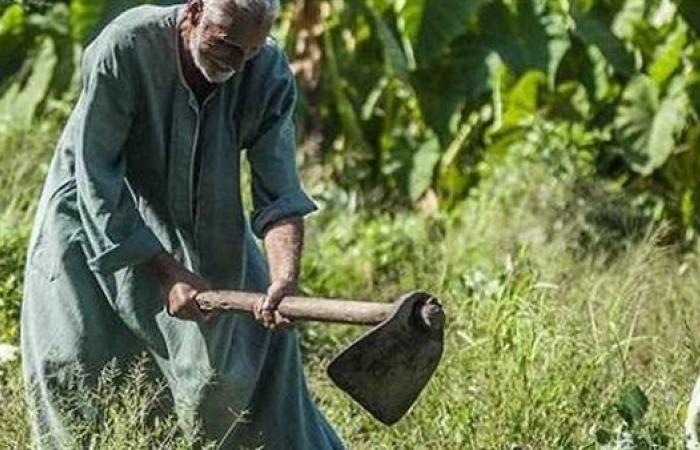 في عيده الـ73.. وزير الزراعة يهنئ فلاحي مصر ويؤكد: الفلاح المصري هو الركيزة الأساسية للأمن الغذائي.. ودعم غير مسبوق من الدولة له