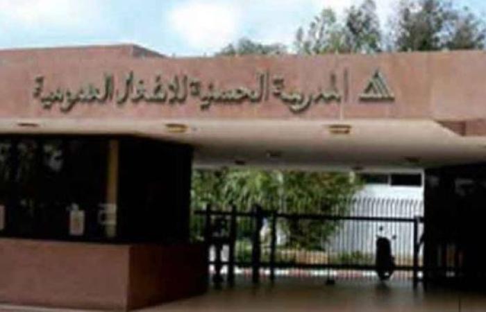 توفر الأمان وتحقيق الذات.. الاشتغال مع الدولة غدا أكثر إغراء لخريجي المدارس الكبرى
