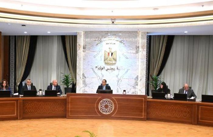 رئيس الوزراء يترأس اجتماع "الأعلى للطاقة".. صور