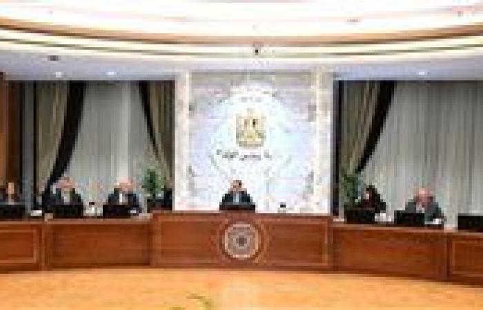 الحكومة تبحث سبل توفير الطاقة للقطاعات الإنتاجية والتنموية