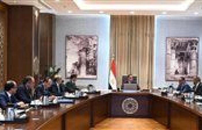 إنشاء وتجهيز مجمع لإنتاج البذور في مصر بمواصفات عالمية
