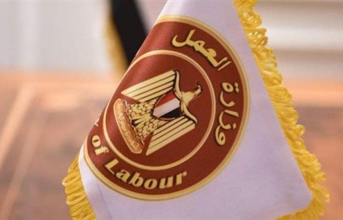 قانون العمل الجديد يدخل حيز التنفيذ بـ 87 قرارًا تنفيذيًّا متنوعًا