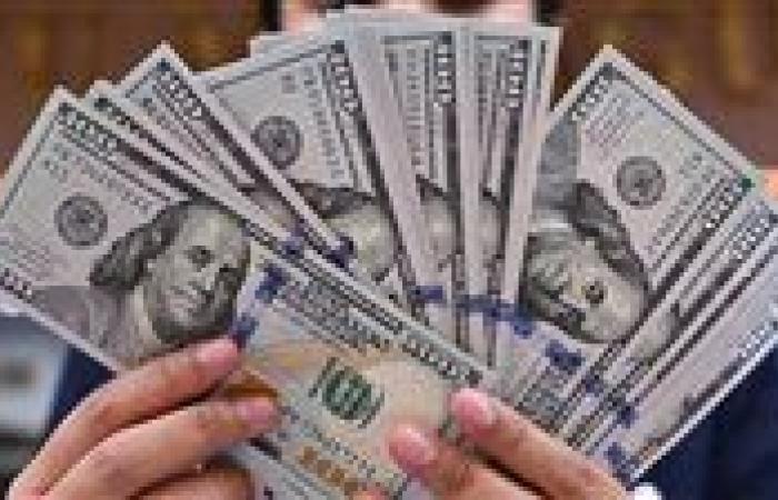 الدولار ينخفض تحت 48 جنيها لأول مرة في 2025.. خبير اقتصادي يحذر لهذا السبب