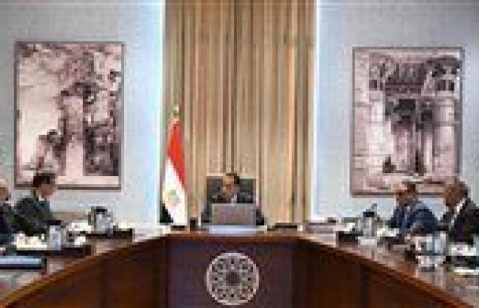 مصر تعتزم إنشاء مجمع لإنتاج البذور بالتعاون مع شركة عالمية