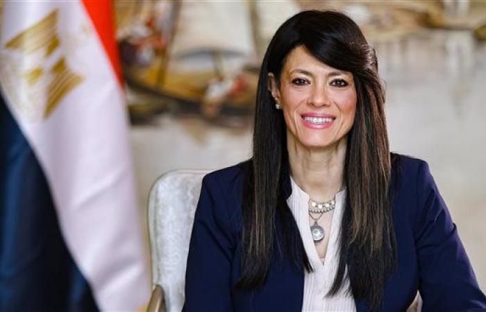 وزيرة التخطيط: زيادة مخصصات قطاع الصحة 65% عن العام الماضى