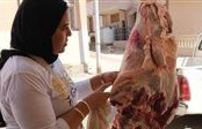 الطب البيطري بالبحر الأحمر ينفذ حملة تفتيشية بمدينة القصير لضبط الأسواق