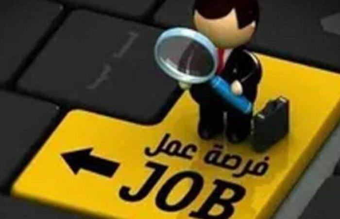 كيان وهمي وفرص عمل مزيفة.. حبس المتهم بالنصب على المواطنين بمدينة نصر