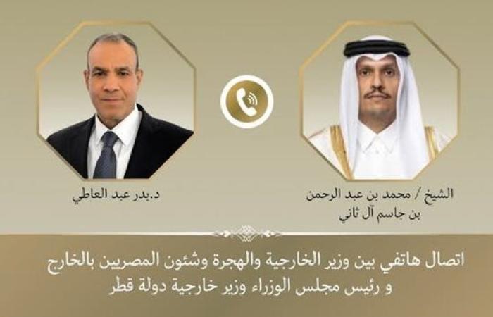 وزير الخارجية يؤكد تضامن مصر الكامل ووقوفها التام مع دولة قطر الشقيقة