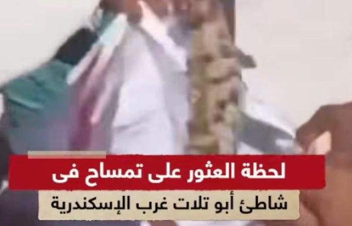 وزارة البيئة تصدر بيان بخصوص ظهور تمساح على شاطئ ابو تلات  بالإسكندرية