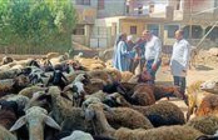 قافلة بيطرية تعالج 6800 طائر وحيوان وتقدم تحصينات مجانية ضمن «حياة كريمة» بالغربية