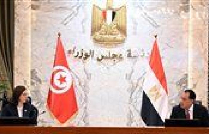 مصر وتونس تستهدفان مضاعفة التبادل التجاري إلى مليار دولار خلال عامين