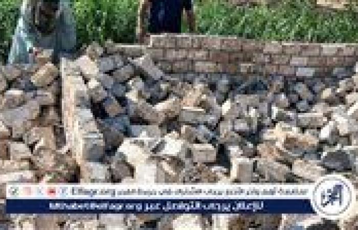 إزالة 15 حالة تعدي واسترداد 90 فدانًا أملاك دولة بأسيوط