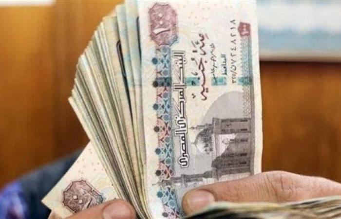 كيفية استعلام فوري عن معاشك بالرقم القومي 2025 عبر موقع الهيئة القومية للتأمين