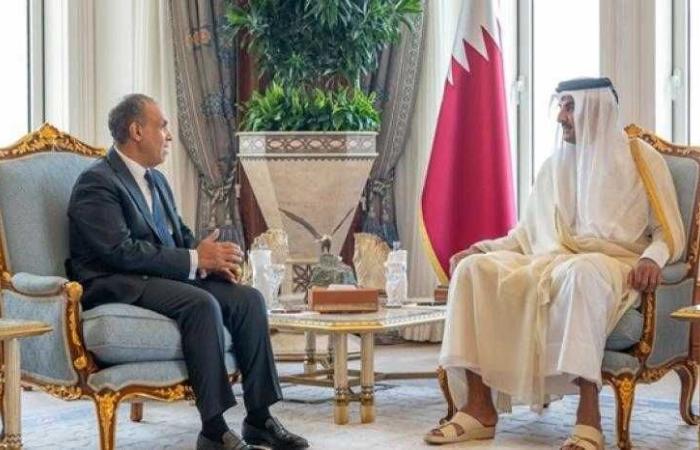 وزير الخارجية ينقل رسالة تضامن ودعم من الرئيس إلى أخيه الشيخ تميم بن حمد آل ثاني أمير دولة قطر