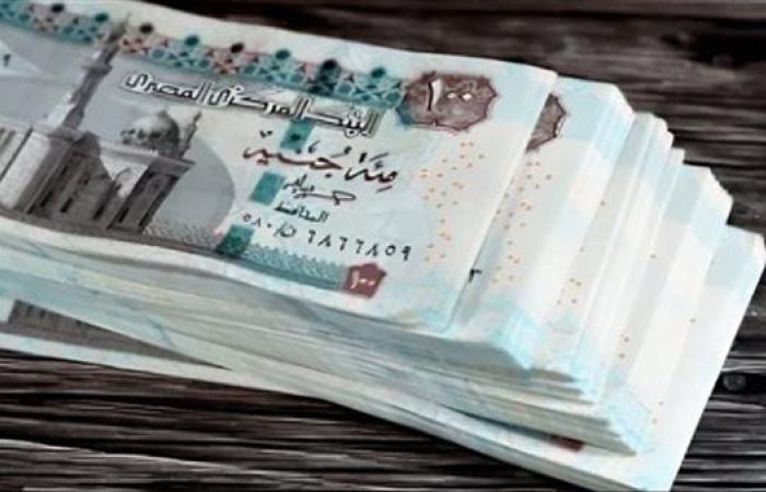 كيفية الاستعلام عن المرتبات إلكترونيًا عبر بوابة الحكومة المصرية