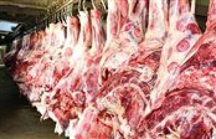 نقيب الجزارين يرد على تصريحات نقيب الفلاحين حول السعر العادل للحوم