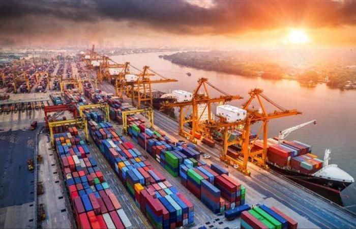 كنز دولارات جديد في مصر.. دخل للبلد أكتر من 10 مليار دولار خلال 38 شهر