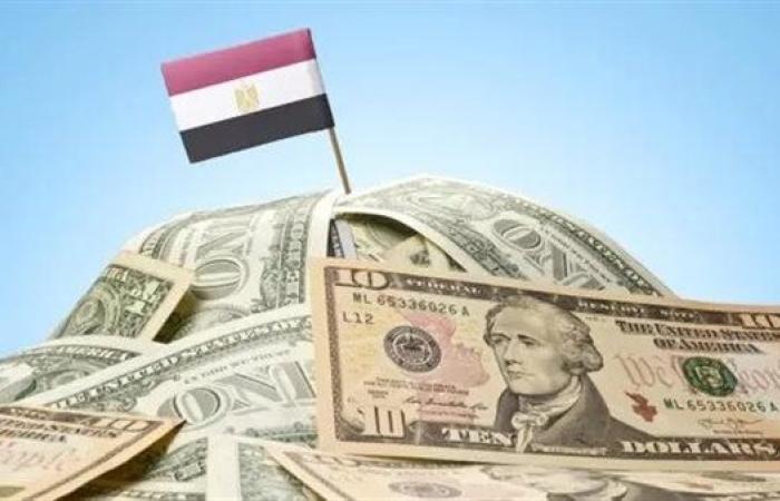 لا خوف على الاقتصاد المصري.. فائض الأصول الأجنبية يحلق عند مستوى قياسي