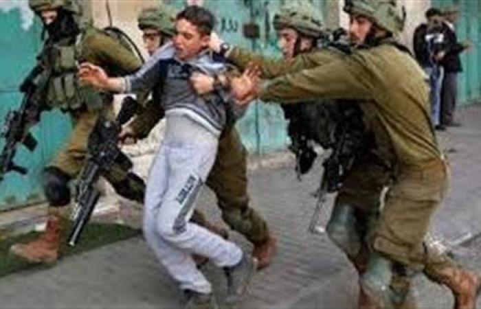 الحشرات تحاربهم و البق والبراغيث يأكلهم.. الأمراض الجلدية تنهش أجساد جيش الاحتلال