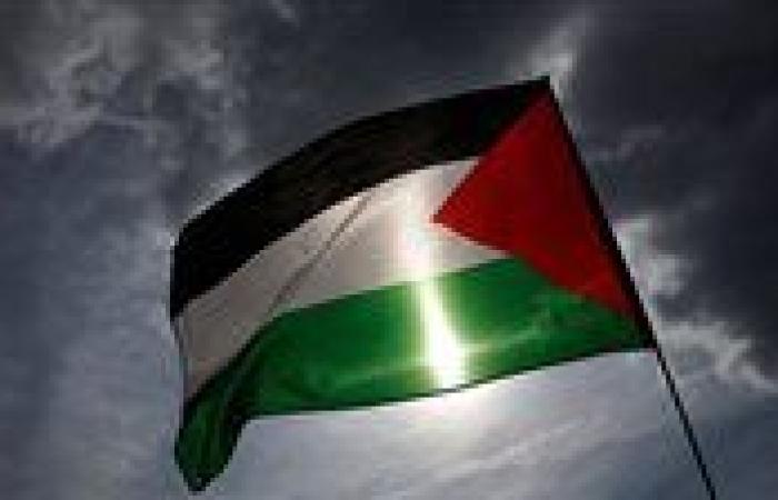 الجمعية العامة للأمم المتحدة تتبنّى مشروع قرار يؤيد إقامة دولة فلسطينية مستقلة