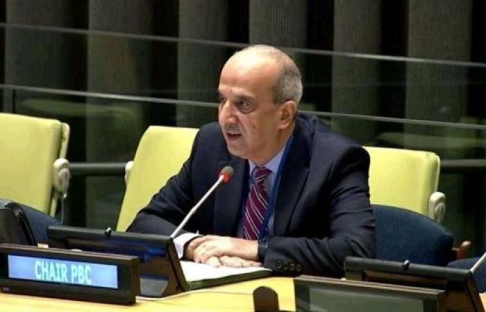 مندوب مصر لدى مجلس الأمن: نطالب بإيقاف الحرب على غزة وإنقاذ القطاع من المجاعة