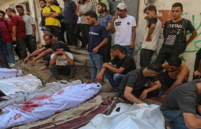 ارتفاع حصيلة شهداء عدوان الاحتلال الإسرائيلي على غزة إلى 64 ألفا و756 شهيدا