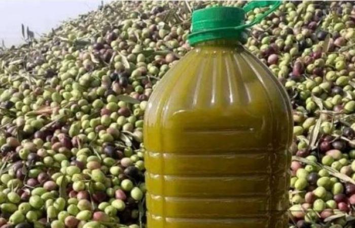 رئيس "كومادير" ل"أحداث أنفو".. "زيت العود" سينخفض إلى 50 درهما للتر